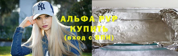 PSILOCYBIN Карталы