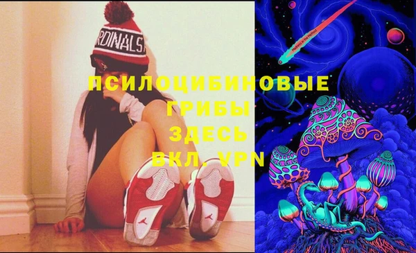 молекула духа Медвежьегорск