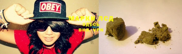 PSILOCYBIN Карталы