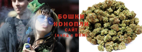PSILOCYBIN Карталы